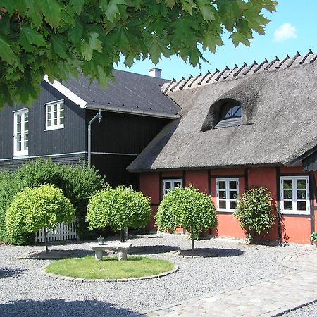 Lolland Bed & Breakfast Sollested  Buitenkant foto