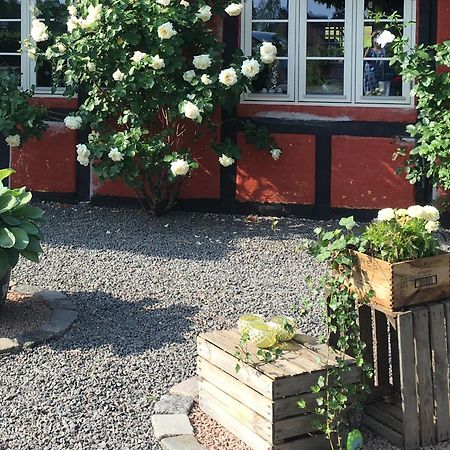 Lolland Bed & Breakfast Sollested  Buitenkant foto