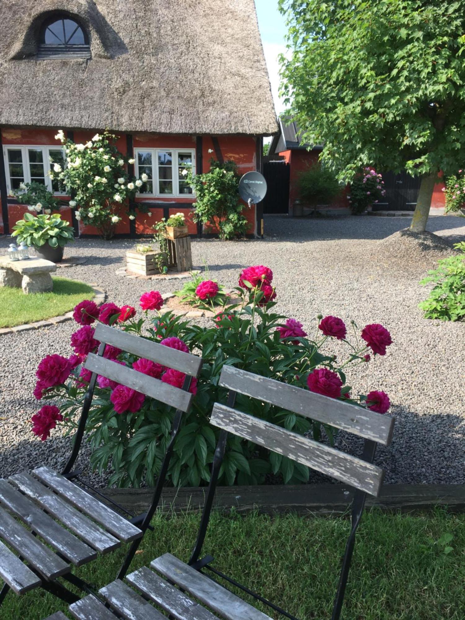 Lolland Bed & Breakfast Sollested  Buitenkant foto